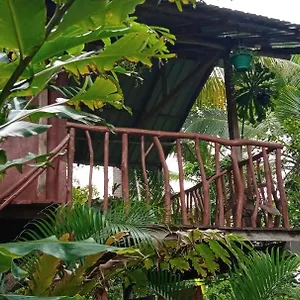 Sigiri Panaromic Tree House Sigirija