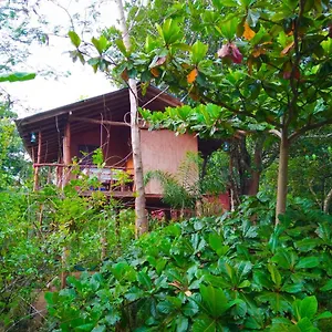 Akash Treehouse Sigirija