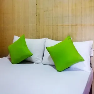  Проживание в семье Pinthu